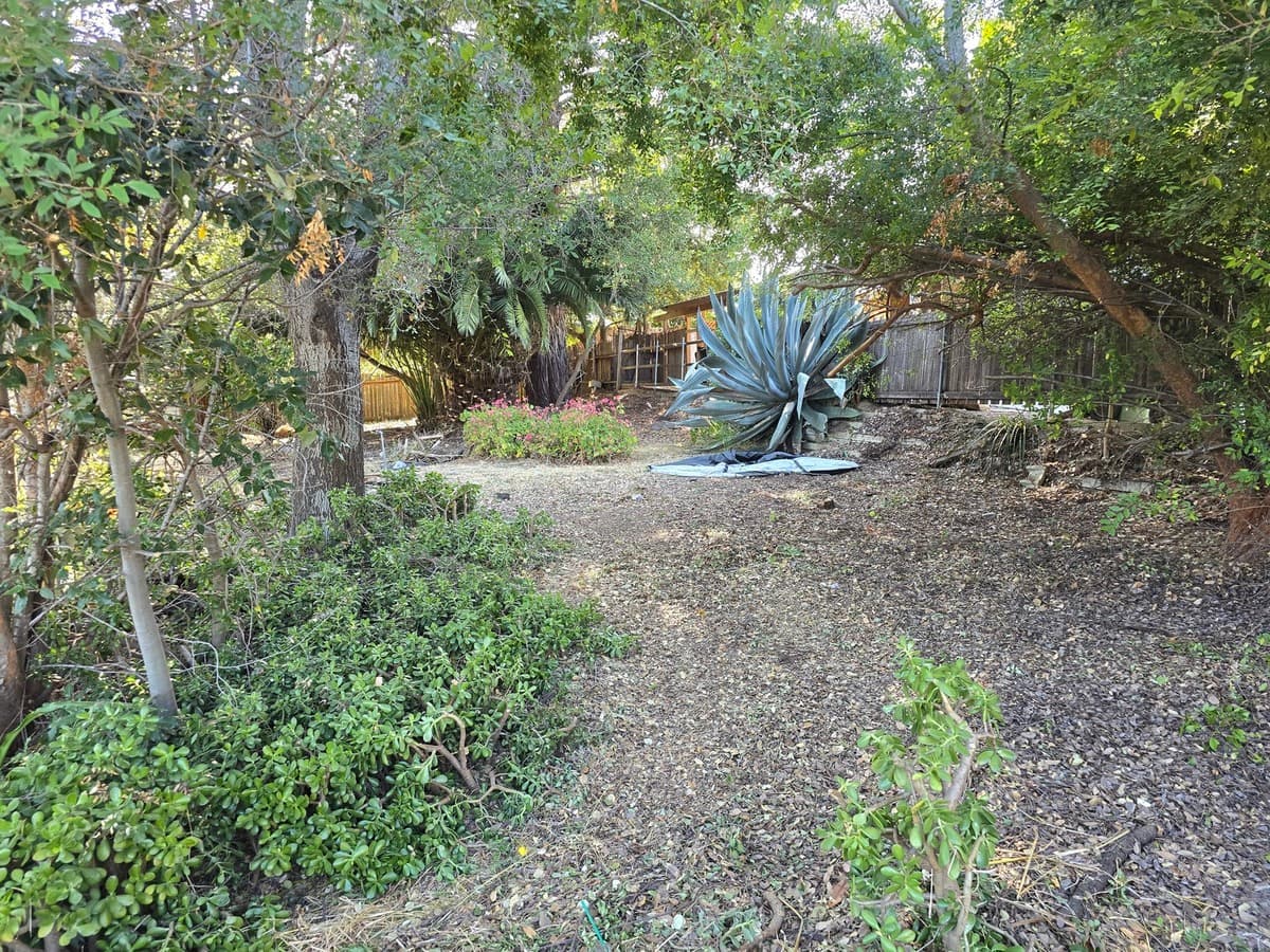 VW Cornerstone Landscaping LLC project photo 6 — SLO County landscaping work