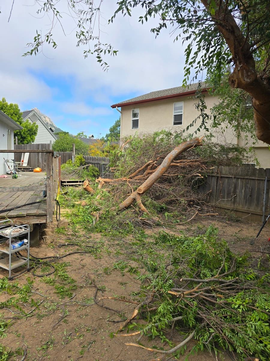 VW Cornerstone Landscaping LLC project photo 5 — SLO County landscaping work